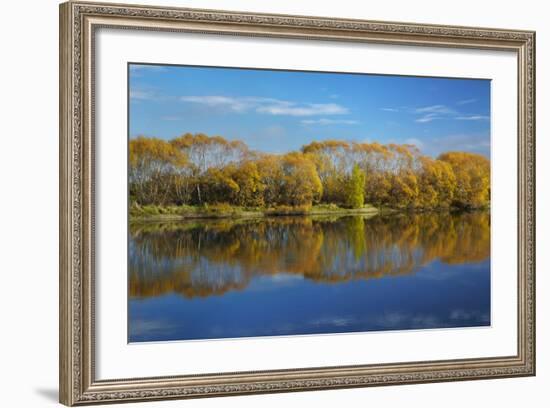 Autumn Colour and Clutha River at Kaitangata, Near Balclutha, New Zealand-David Wall-Framed Photographic Print