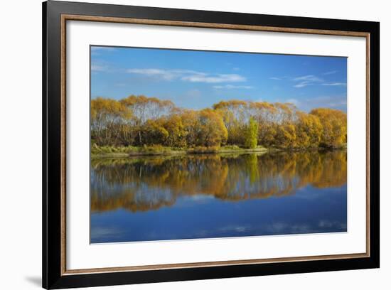 Autumn Colour and Clutha River at Kaitangata, Near Balclutha, New Zealand-David Wall-Framed Photographic Print