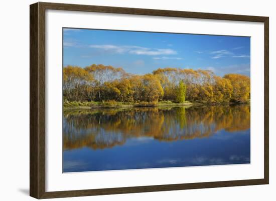 Autumn Colour and Clutha River at Kaitangata, Near Balclutha, New Zealand-David Wall-Framed Photographic Print