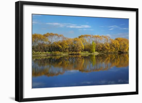 Autumn Colour and Clutha River at Kaitangata, Near Balclutha, New Zealand-David Wall-Framed Photographic Print