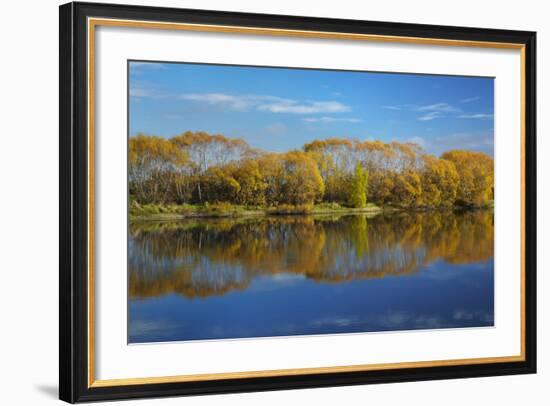 Autumn Colour and Clutha River at Kaitangata, Near Balclutha, New Zealand-David Wall-Framed Photographic Print