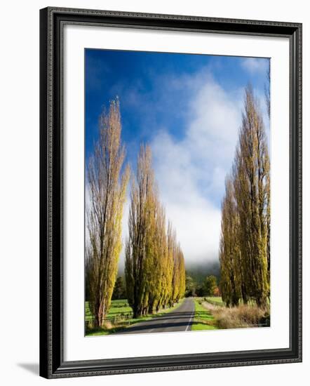 Autumn Colour and Wanganui, Raetihi Road, near Wanganui, North Island, New Zealand-David Wall-Framed Photographic Print