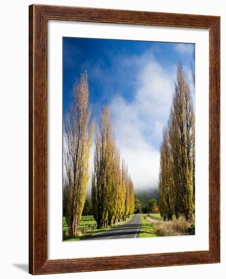 Autumn Colour and Wanganui, Raetihi Road, near Wanganui, North Island, New Zealand-David Wall-Framed Photographic Print