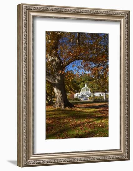 Autumn Colour, Botanic Gardens, Dunedin, Otago, South Island, New Zealand-David Wall-Framed Photographic Print