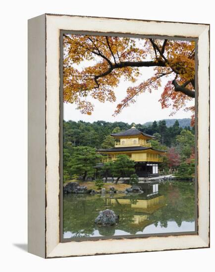 Autumn Colour Leaves, Golden Temple, Kinkaku Ji (Kinkakuji), Dating from 1397, Kyoto, Japan, Asia-Christian Kober-Framed Premier Image Canvas