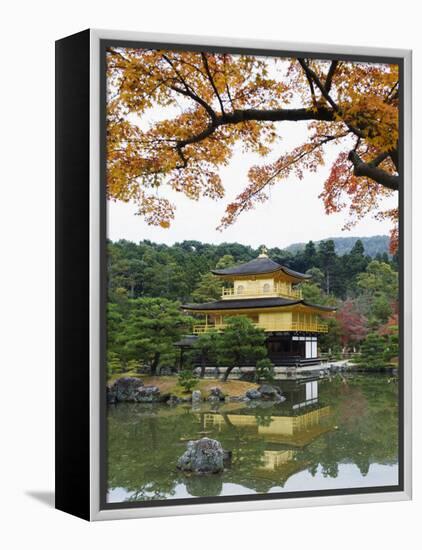 Autumn Colour Leaves, Golden Temple, Kinkaku Ji (Kinkakuji), Dating from 1397, Kyoto, Japan, Asia-Christian Kober-Framed Premier Image Canvas