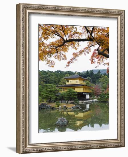 Autumn Colour Leaves, Golden Temple, Kinkaku Ji (Kinkakuji), Dating from 1397, Kyoto, Japan, Asia-Christian Kober-Framed Photographic Print