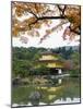Autumn Colour Leaves, Golden Temple, Kinkaku Ji (Kinkakuji), Dating from 1397, Kyoto, Japan, Asia-Christian Kober-Mounted Photographic Print