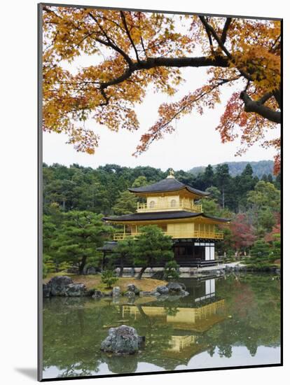 Autumn Colour Leaves, Golden Temple, Kinkaku Ji (Kinkakuji), Dating from 1397, Kyoto, Japan, Asia-Christian Kober-Mounted Photographic Print