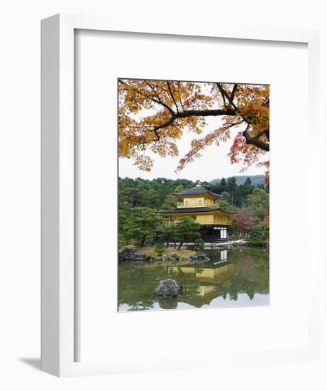 Autumn Colour Leaves, Golden Temple, Kinkaku Ji (Kinkakuji), Dating from 1397, Kyoto, Japan, Asia-Christian Kober-Framed Photographic Print