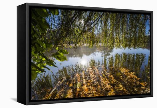 Autumn Colours and Drifting Leaves in the Lake-Falk Hermann-Framed Premier Image Canvas
