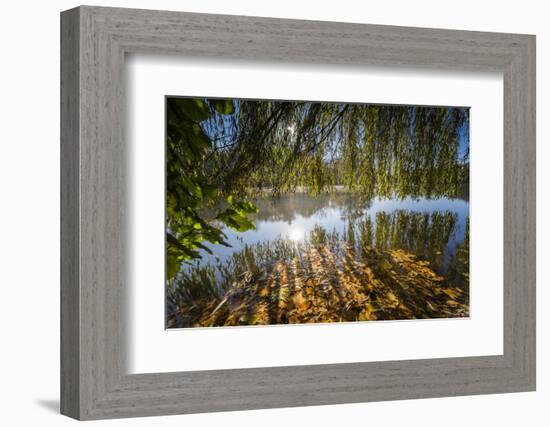 Autumn Colours and Drifting Leaves in the Lake-Falk Hermann-Framed Photographic Print