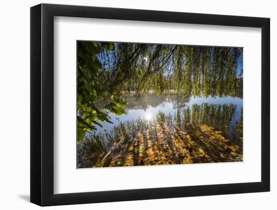 Autumn Colours and Drifting Leaves in the Lake-Falk Hermann-Framed Photographic Print