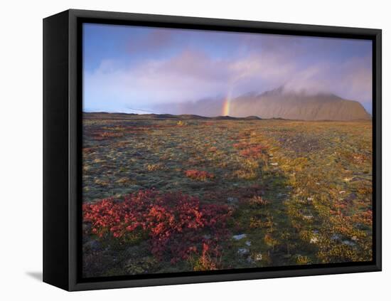 Autumn Colours and Rainbow over Illuklettar Near Skaftafellsjokull Glacier Seen in the Distance-Patrick Dieudonne-Framed Premier Image Canvas