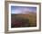 Autumn Colours and Rainbow over Illuklettar Near Skaftafellsjokull Glacier Seen in the Distance-Patrick Dieudonne-Framed Photographic Print