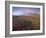 Autumn Colours and Rainbow over Illuklettar Near Skaftafellsjokull Glacier Seen in the Distance-Patrick Dieudonne-Framed Photographic Print