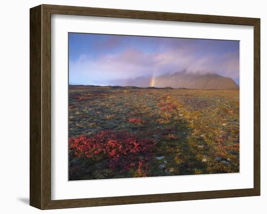 Autumn Colours and Rainbow over Illuklettar Near Skaftafellsjokull Glacier Seen in the Distance-Patrick Dieudonne-Framed Photographic Print