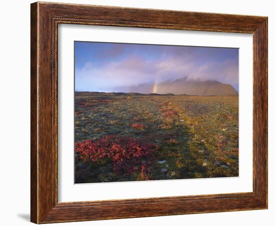 Autumn Colours and Rainbow over Illuklettar Near Skaftafellsjokull Glacier Seen in the Distance-Patrick Dieudonne-Framed Photographic Print