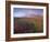 Autumn Colours and Rainbow over Illuklettar Near Skaftafellsjokull Glacier Seen in the Distance-Patrick Dieudonne-Framed Photographic Print