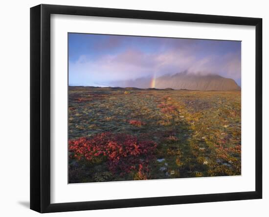 Autumn Colours and Rainbow over Illuklettar Near Skaftafellsjokull Glacier Seen in the Distance-Patrick Dieudonne-Framed Photographic Print