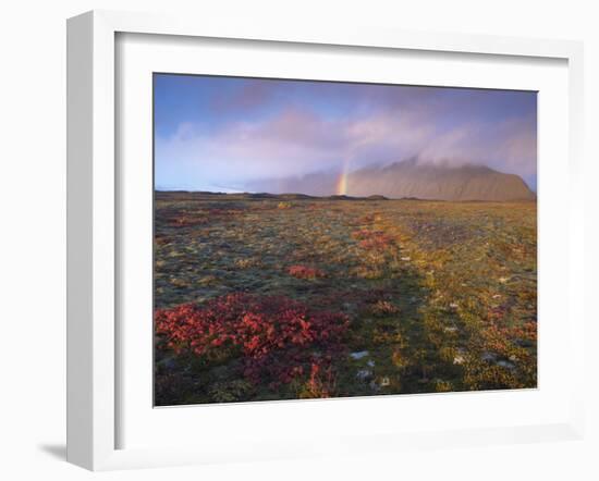 Autumn Colours and Rainbow over Illuklettar Near Skaftafellsjokull Glacier Seen in the Distance-Patrick Dieudonne-Framed Photographic Print