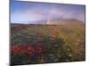 Autumn Colours and Rainbow over Illuklettar Near Skaftafellsjokull Glacier Seen in the Distance-Patrick Dieudonne-Mounted Photographic Print