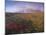 Autumn Colours and Rainbow over Illuklettar Near Skaftafellsjokull Glacier Seen in the Distance-Patrick Dieudonne-Mounted Photographic Print