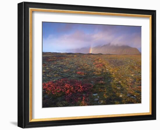 Autumn Colours and Rainbow over Illuklettar Near Skaftafellsjokull Glacier Seen in the Distance-Patrick Dieudonne-Framed Photographic Print