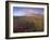 Autumn Colours and Rainbow over Illuklettar Near Skaftafellsjokull Glacier Seen in the Distance-Patrick Dieudonne-Framed Photographic Print