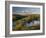 Autumn Colours at Tarn Hows Nearr Hawkshead, Lake District, Cumbria, England-Gavin Hellier-Framed Photographic Print