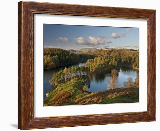 Autumn Colours at Tarn Hows Nearr Hawkshead, Lake District, Cumbria, England-Gavin Hellier-Framed Photographic Print