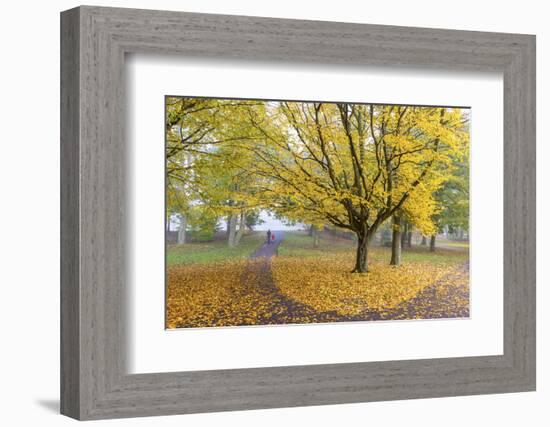 Autumn Colours in Leazes Park, Newcastle Upon Tyne, Tyne and Wear, England, United Kingdom, Europe-Chris Hepburn-Framed Photographic Print