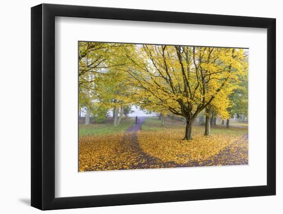 Autumn Colours in Leazes Park, Newcastle Upon Tyne, Tyne and Wear, England, United Kingdom, Europe-Chris Hepburn-Framed Photographic Print