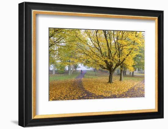 Autumn Colours in Leazes Park, Newcastle Upon Tyne, Tyne and Wear, England, United Kingdom, Europe-Chris Hepburn-Framed Photographic Print