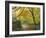 Autumn Colours Near Grasmere, Lake District National Park, Cumbria, England, UK-Roy Rainford-Framed Photographic Print