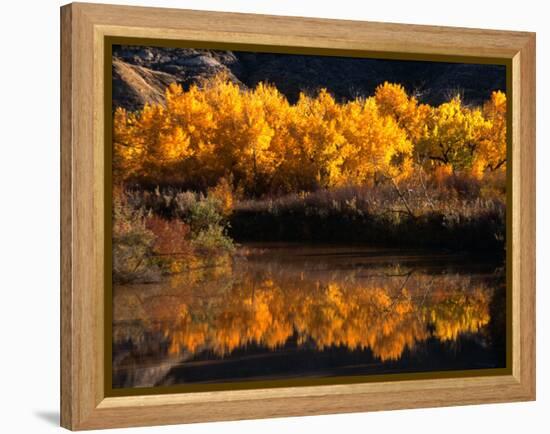 Autumn Colours of Drumheller Valley in Alberta, Drumheller Valley, Canada-Mark Newman-Framed Premier Image Canvas