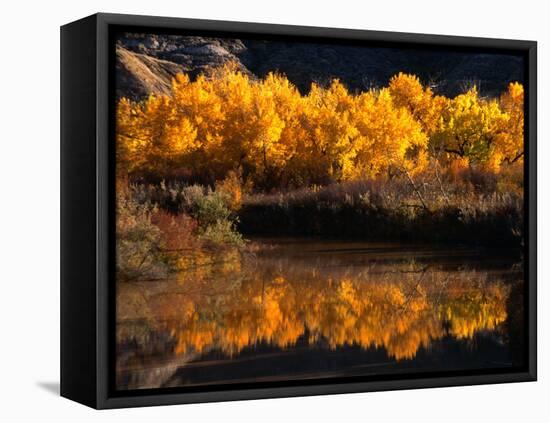 Autumn Colours of Drumheller Valley in Alberta, Drumheller Valley, Canada-Mark Newman-Framed Premier Image Canvas