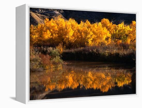 Autumn Colours of Drumheller Valley in Alberta, Drumheller Valley, Canada-Mark Newman-Framed Premier Image Canvas