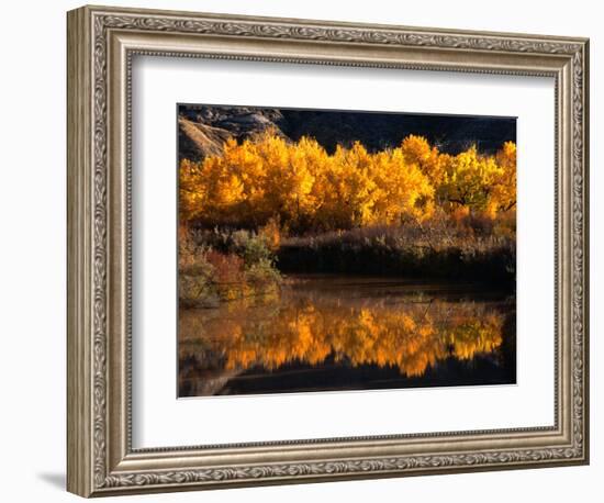 Autumn Colours of Drumheller Valley in Alberta, Drumheller Valley, Canada-Mark Newman-Framed Photographic Print