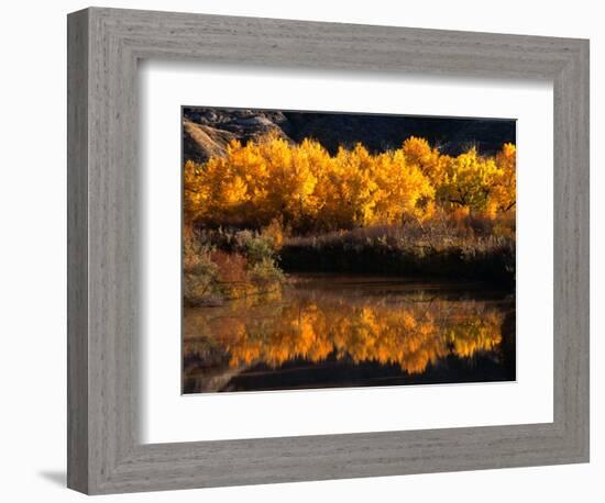 Autumn Colours of Drumheller Valley in Alberta, Drumheller Valley, Canada-Mark Newman-Framed Photographic Print