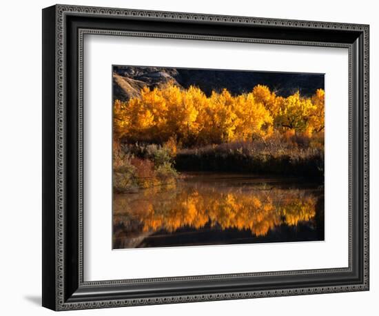 Autumn Colours of Drumheller Valley in Alberta, Drumheller Valley, Canada-Mark Newman-Framed Photographic Print