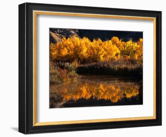 Autumn Colours of Drumheller Valley in Alberta, Drumheller Valley, Canada-Mark Newman-Framed Photographic Print