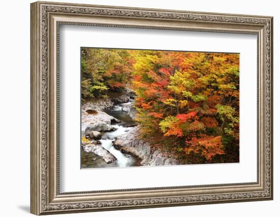 Autumn Colours of Valley-tamikosan-Framed Photographic Print