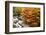 Autumn Colours of Valley-tamikosan-Framed Photographic Print