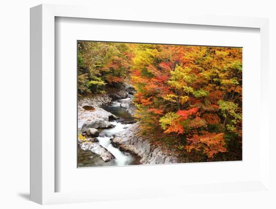 Autumn Colours of Valley-tamikosan-Framed Photographic Print