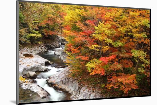 Autumn Colours of Valley-tamikosan-Mounted Photographic Print