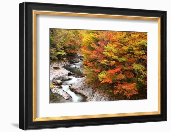 Autumn Colours of Valley-tamikosan-Framed Photographic Print