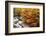 Autumn Colours of Valley-tamikosan-Framed Photographic Print