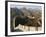 Autumn Colours on the Great Wall of China at Badaling, China-Kober Christian-Framed Photographic Print