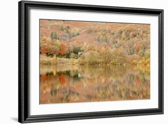 Autumn Colours Reflected in Grasmere Lake in the Lake District National Park-Julian Elliott-Framed Photographic Print